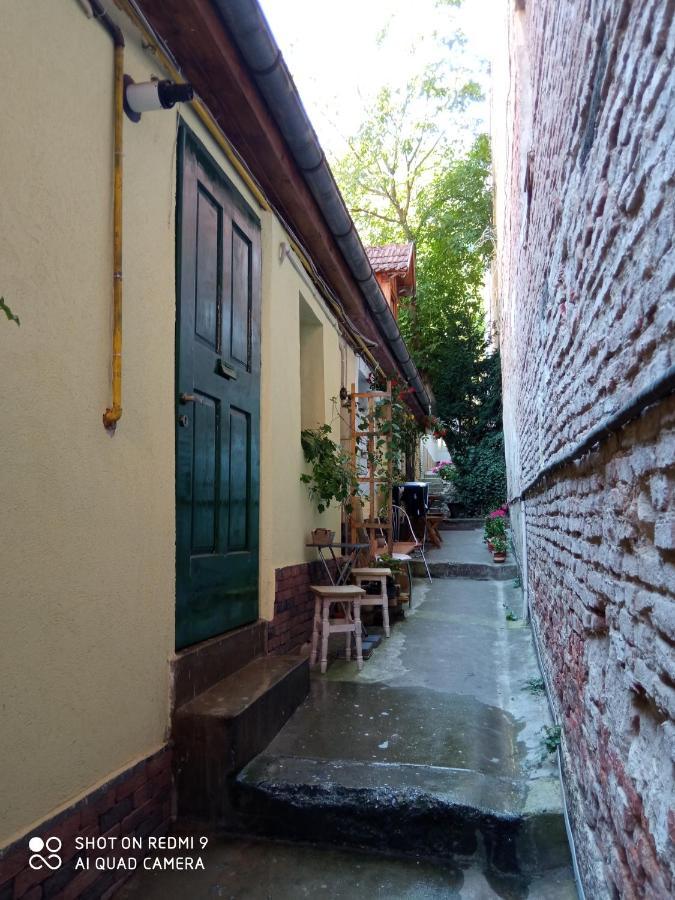 Crown Of Karolina Apartment Brasov Ngoại thất bức ảnh