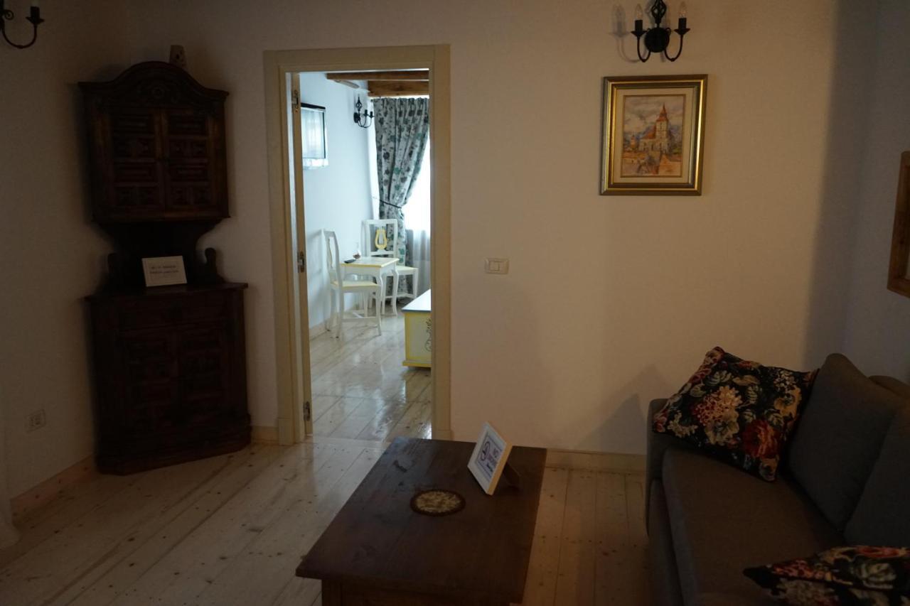 Crown Of Karolina Apartment Brasov Ngoại thất bức ảnh